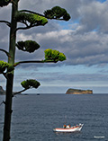 Sao Miguel: Caloura Hotel and Port