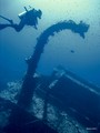 Unfish: Wrecks, Dolfins, Divers