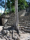 Yucatan Land: Coba
